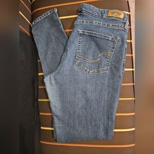 Women's Signature Levi's Strauss & Co Jeans Modern Skinny Size 12 Blue Jeans